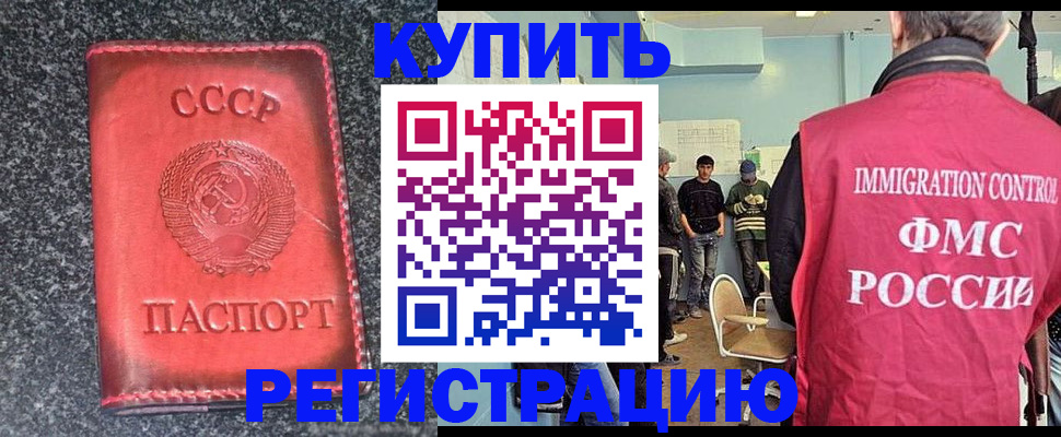 временная регистрация для школы в Мурманской области